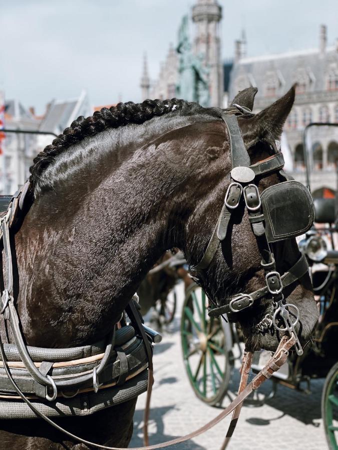 Kind Of Oj Bed & Breakfast Bruges Luaran gambar